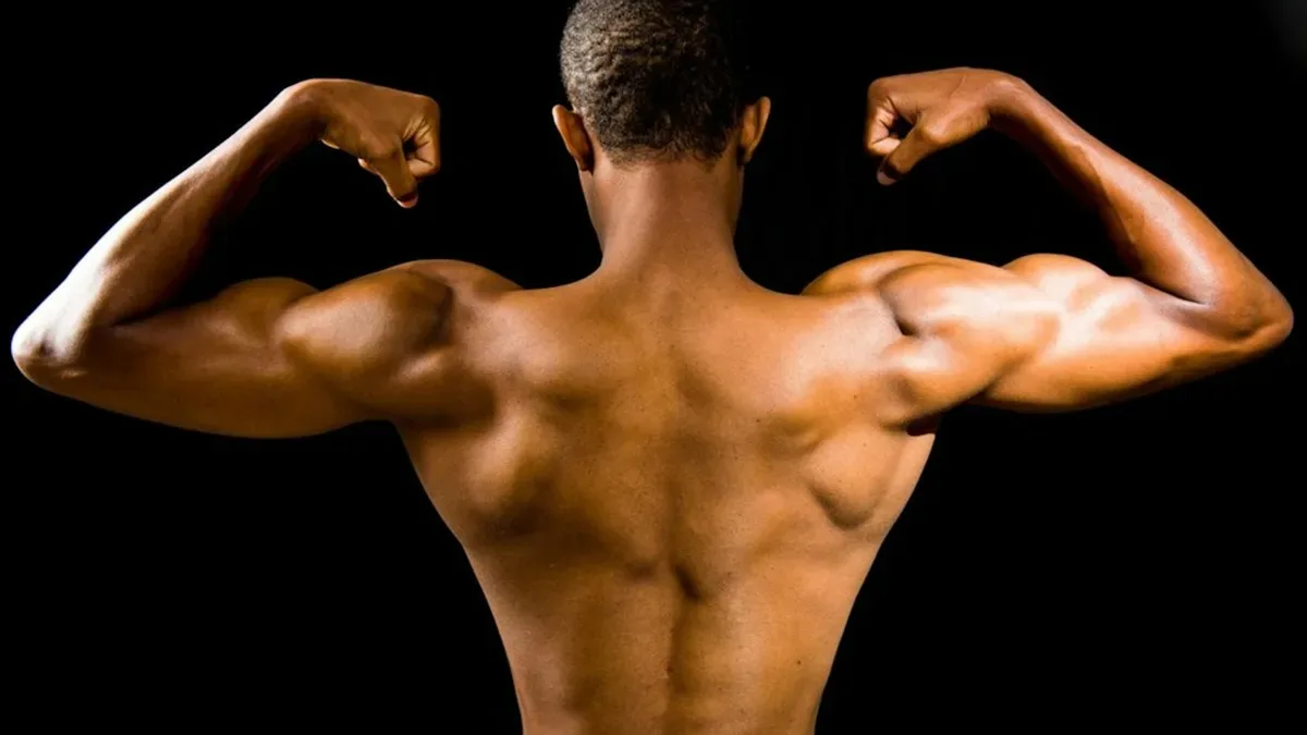 contracture musculaire dos temps de guerison — Contracture musculaire dos temps de guérison : mode d’emploi